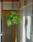 HAY Phanta Plant Hanger Black